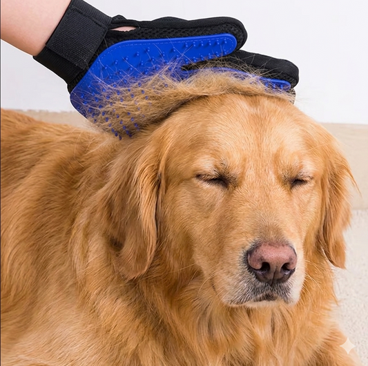 Fellpflege Handschuh & Enthaarungsbürste